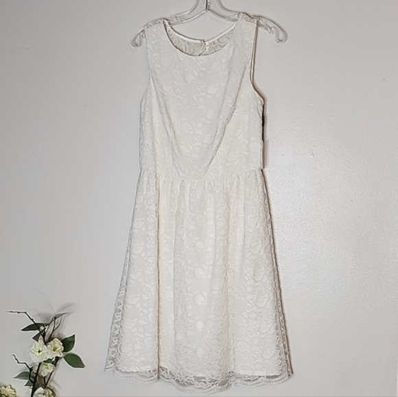 NEW Calvin Klein Ivory Lace Overlay Double Lining Dress Celeb Style Luxury Chic - Picture 10 of 16